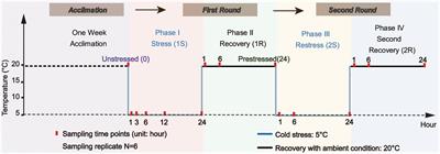 Stress Memory of Recurrent Environmental Challenges in Marine Invasive Species: Ciona robusta as a Case Study